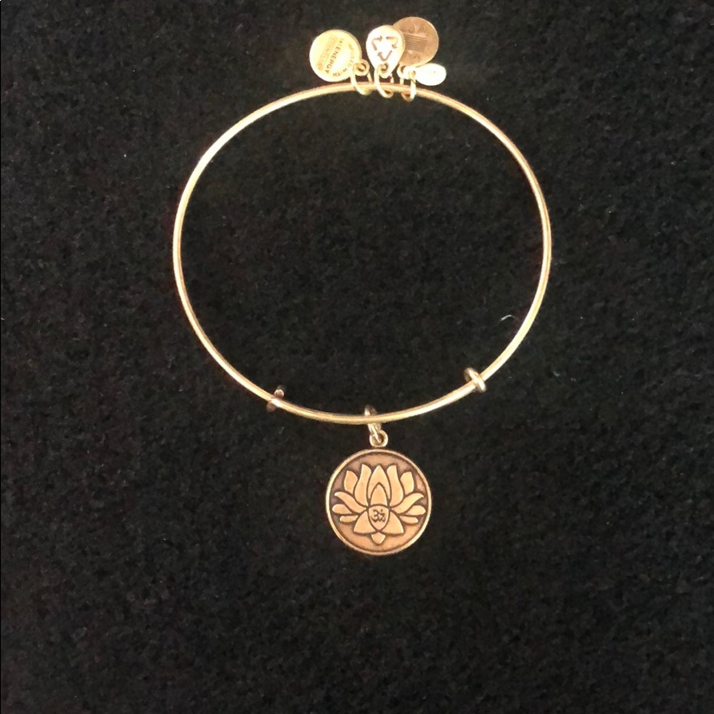Alex and Ani bracelet
